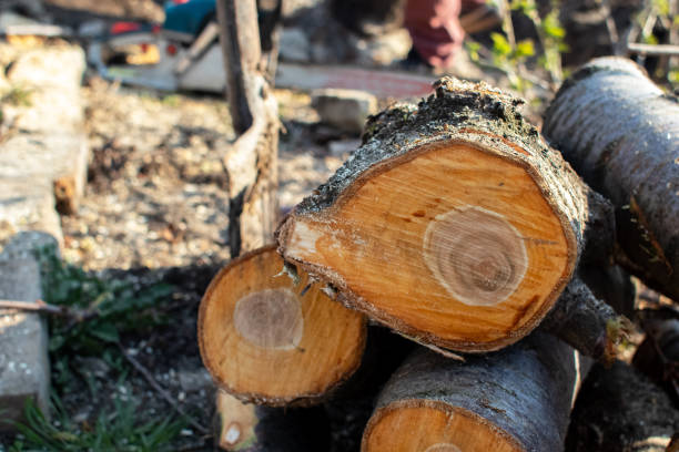 Mulching Services in West Bay Shore, NY